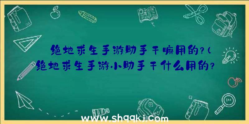 绝地求生手游助手干嘛用的？（绝地求生手游小助手干什么用的？）